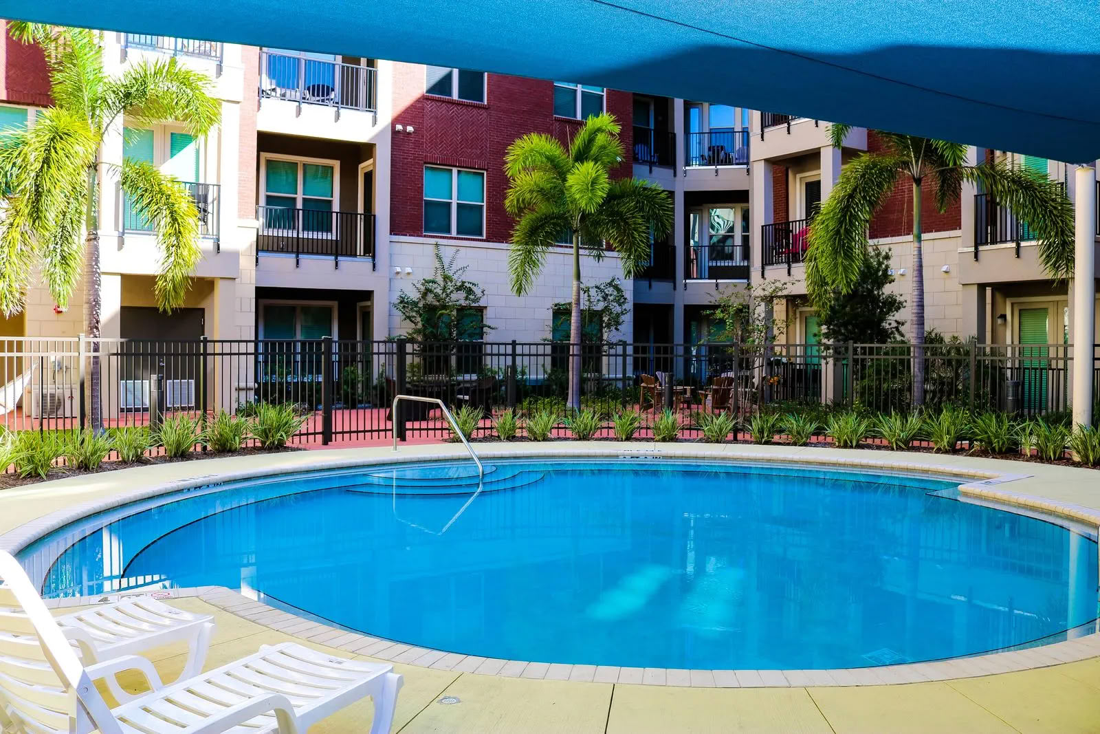 A round outdoor pool with lounge chairs at Varela Westshore, offering walkable living in Tampa FL, surrounded by palm trees and apartments.